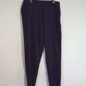 PLUS SIZE WOMAN WITHIN Blue Pants